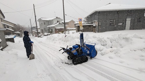 PXL_20240125_052906087 (1)