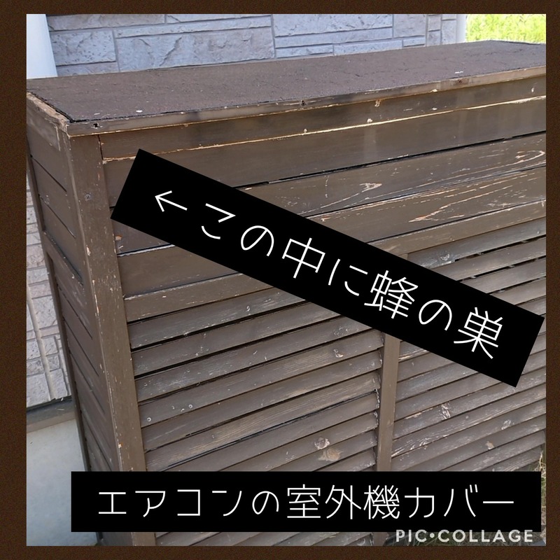 Collage 2020-06-07 16_50_08