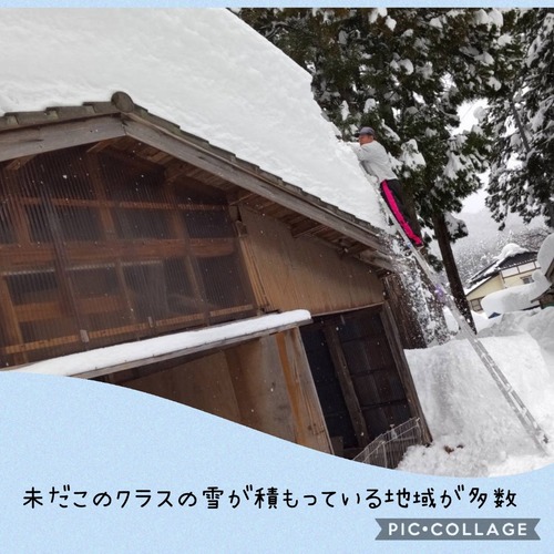 Collage 2021-01-13 21_33_19