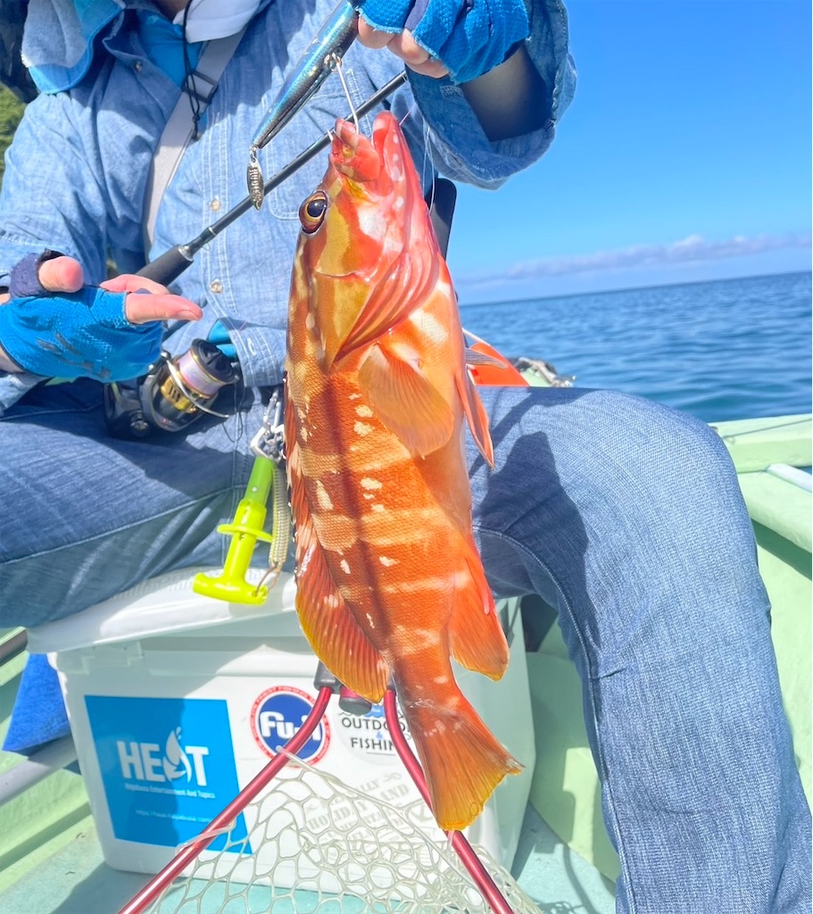 田村釣具　羽太　アカハタ 🎣 アカハタ釣りの仕掛け : 釣魚日記 - 晴釣雨読