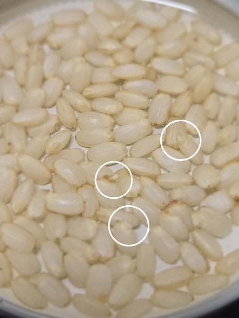 f:id:super-Bonjin:20250429092540j:image