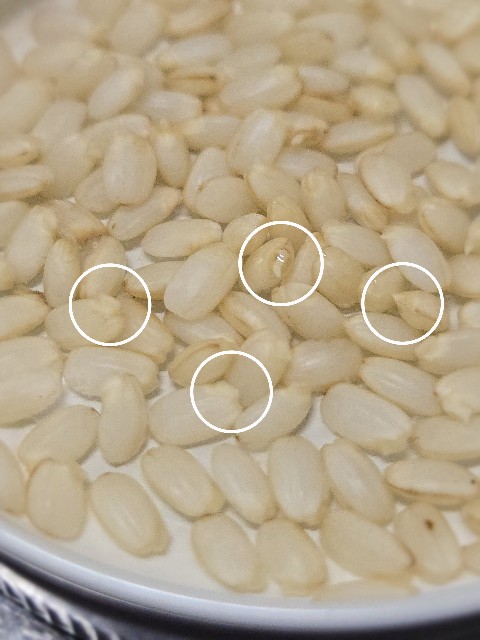 f:id:super-Bonjin:20250429092555j:image