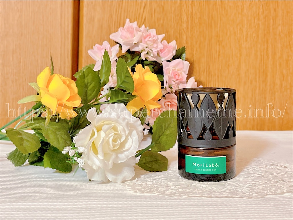 f:id:superchameme:20220228202843j:plain