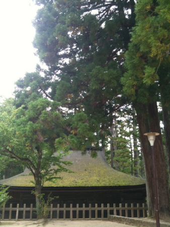 f:id:superdry:20090922150116j:image:h200