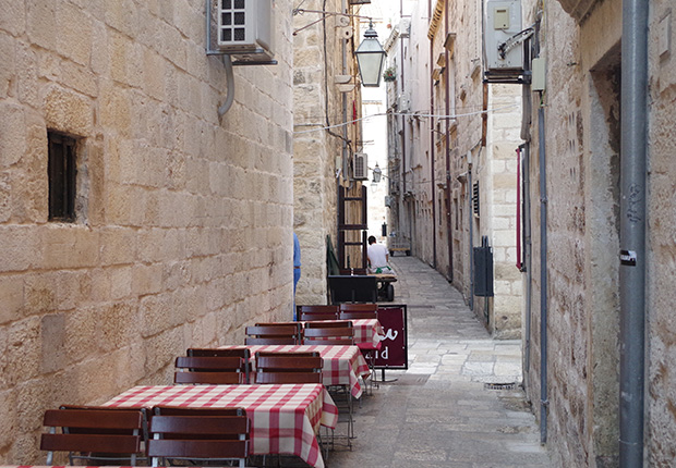 f:id:superfunnyanimals:20170622222216j:plain f:id:superfunnyanimals:20170622222216j:plain