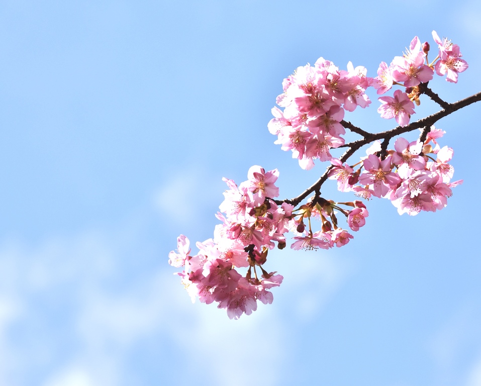 f:id:superlanza230:20160218193507j:plain f:id:superlanza230:20160218193507j:plain