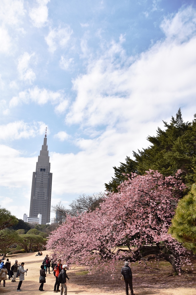 f:id:superlanza230:20160218194219j:plain f:id:superlanza230:20160218194219j:plain