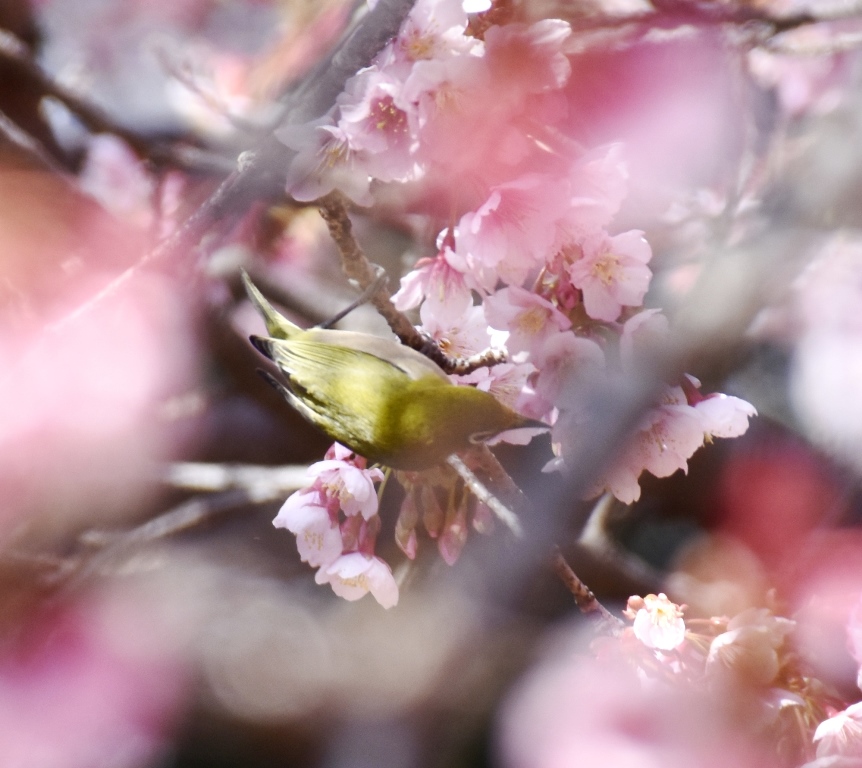 f:id:superlanza230:20160218200053j:plain f:id:superlanza230:20160218200053j:plain