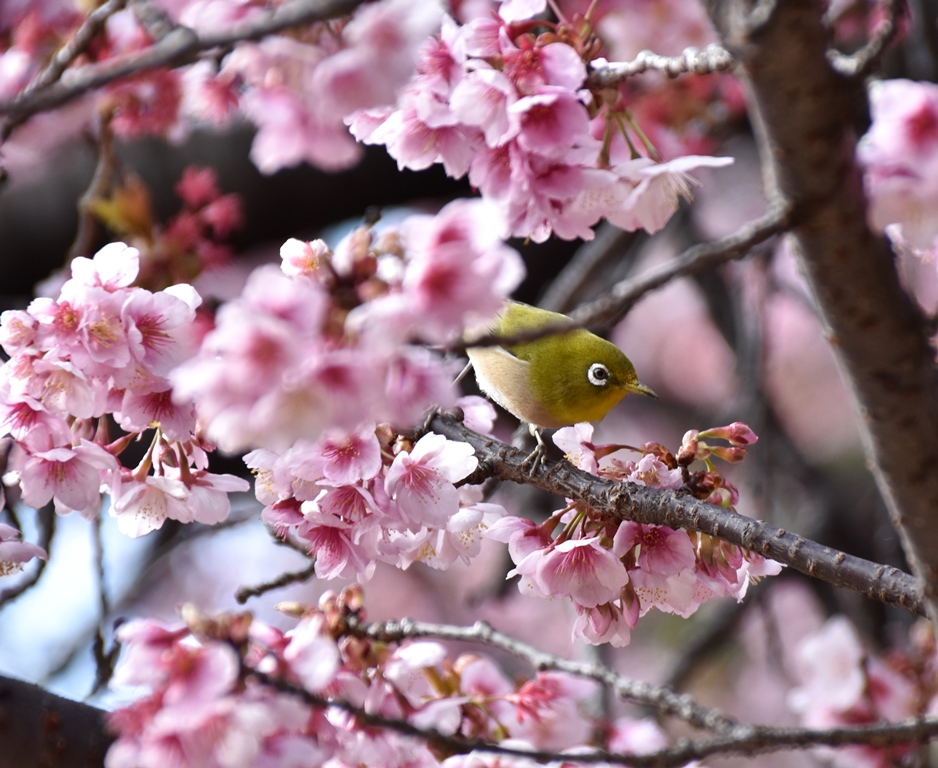 f:id:superlanza230:20160218200108j:plain f:id:superlanza230:20160218200108j:plain