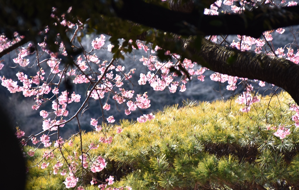 f:id:superlanza230:20160218200223j:plain f:id:superlanza230:20160218200223j:plain