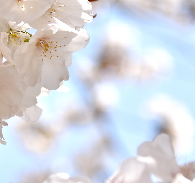 f:id:superlanza230:20170413190051j:plain