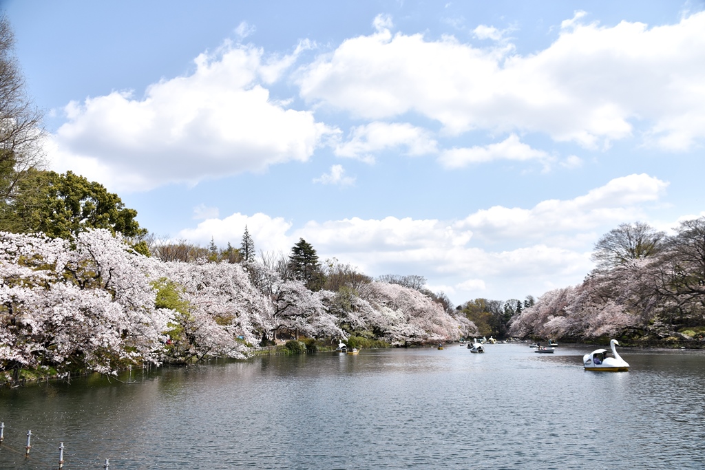 f:id:superlanza230:20170413190111j:plain