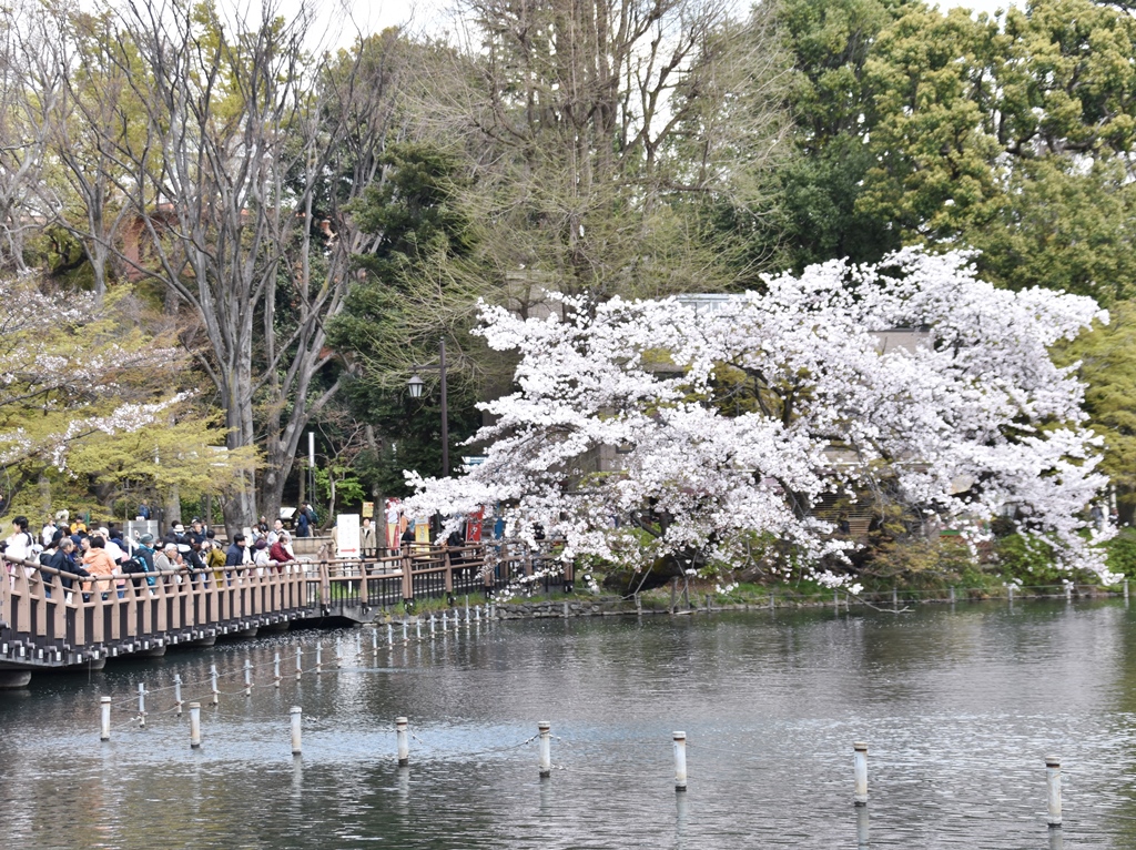 f:id:superlanza230:20170413190128j:plain