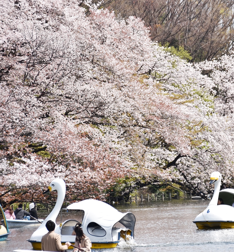 f:id:superlanza230:20170413190140j:plain