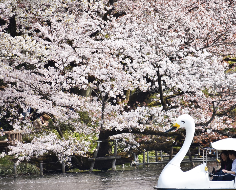 f:id:superlanza230:20170413190205j:plain