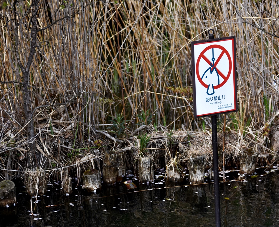 f:id:superlanza230:20170413190215j:plain