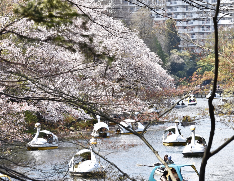 f:id:superlanza230:20170413190634j:plain