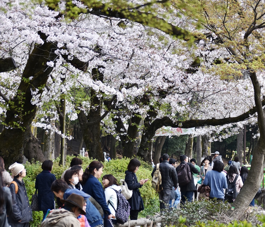 f:id:superlanza230:20170413190642j:plain