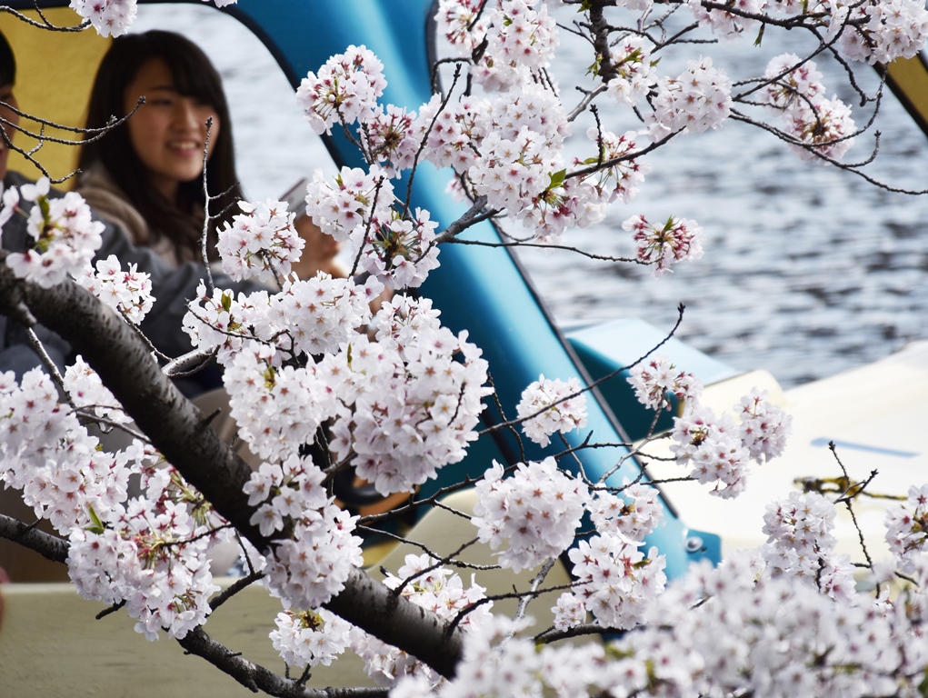 f:id:superlanza230:20170413190650j:plain