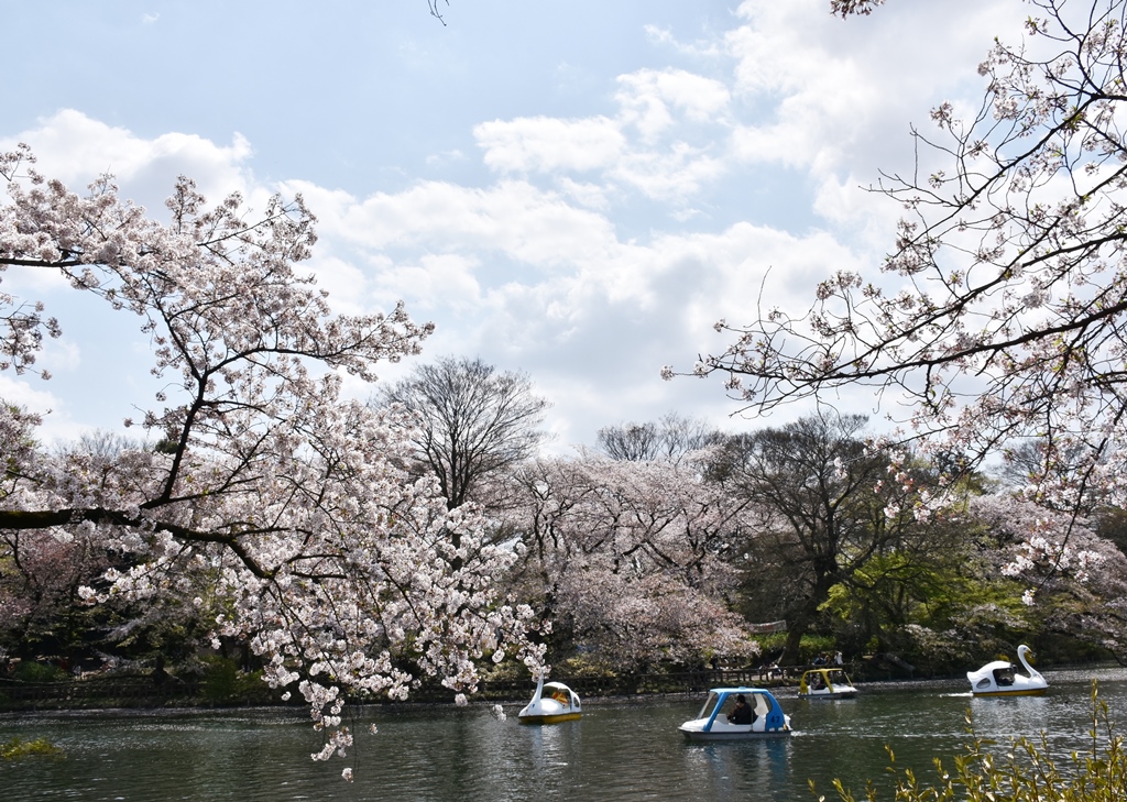 f:id:superlanza230:20170413190717j:plain