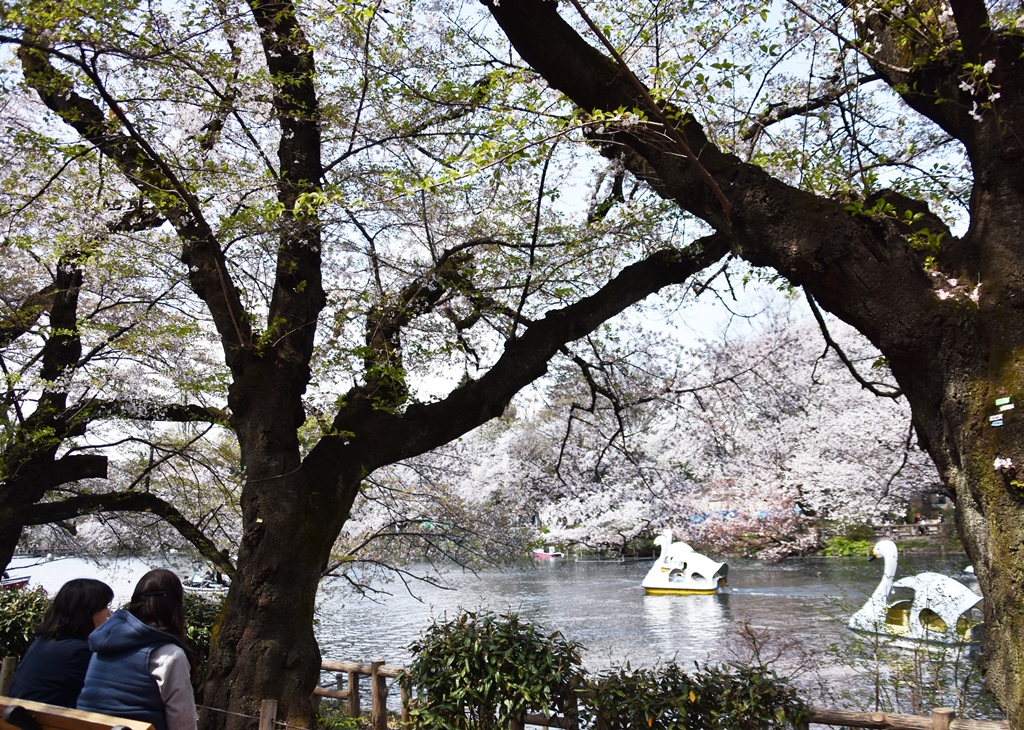 f:id:superlanza230:20170413190744j:plain