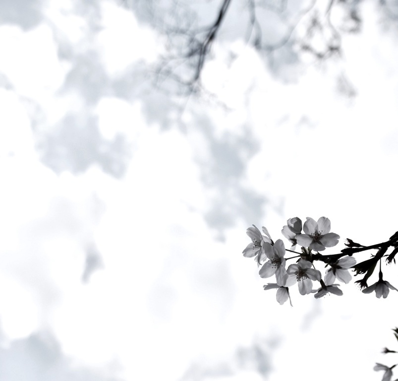 f:id:superlanza230:20170413190751j:plain