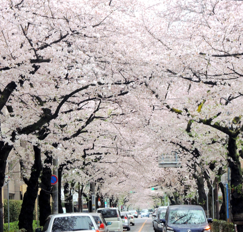 f:id:superlanza230:20170413213742j:plain