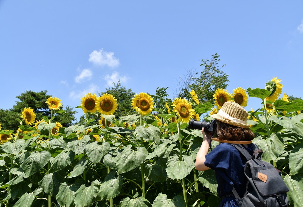 f:id:superlanza230:20170722114710j:plain