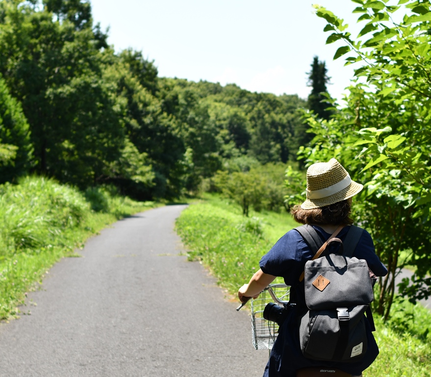 f:id:superlanza230:20170722122712j:plain