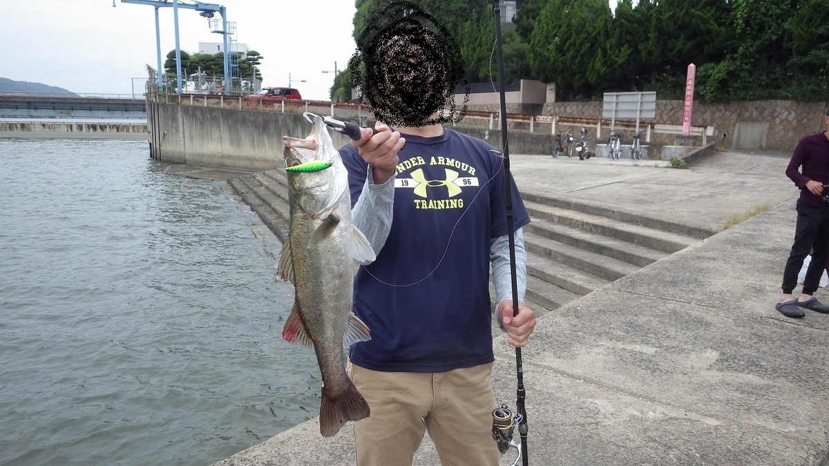 f:id:supermanhiro:20190623163956j:plain f:id:supermanhiro:20190623163956j:plain
