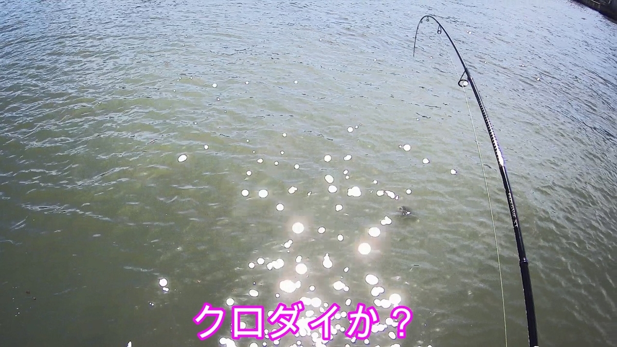f:id:supermanhiro:20190906192637j:plain f:id:supermanhiro:20190906192637j:plain