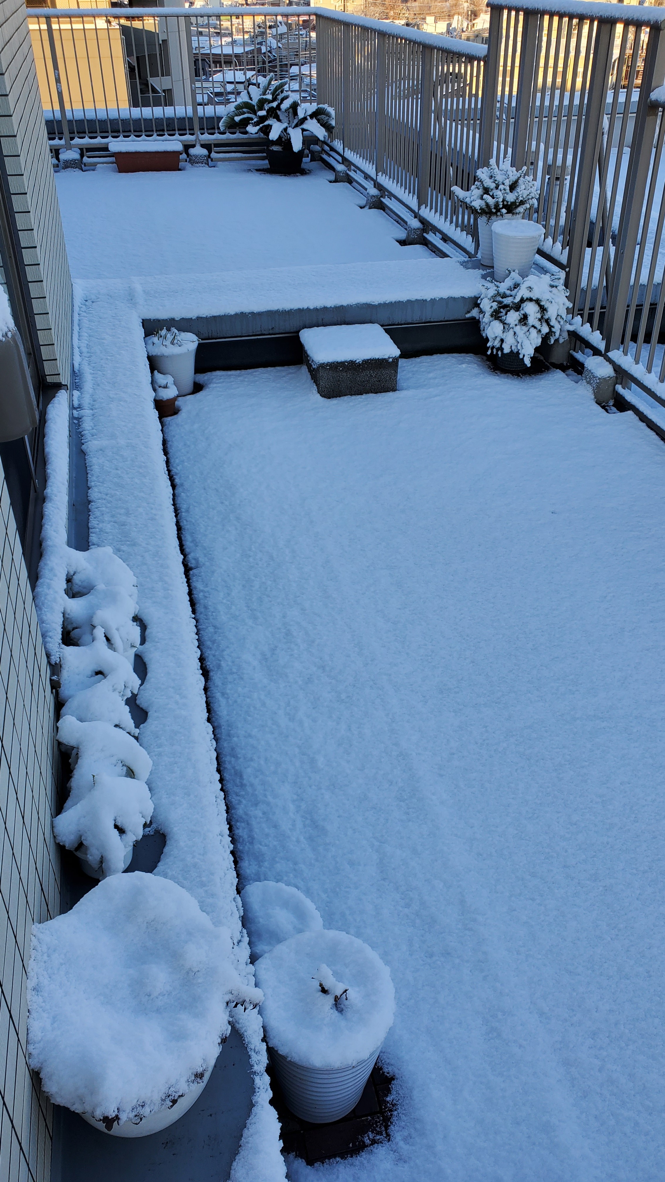 f:id:supernova75:20220107075227j:image f:id:supernova75:20220107075227j:image