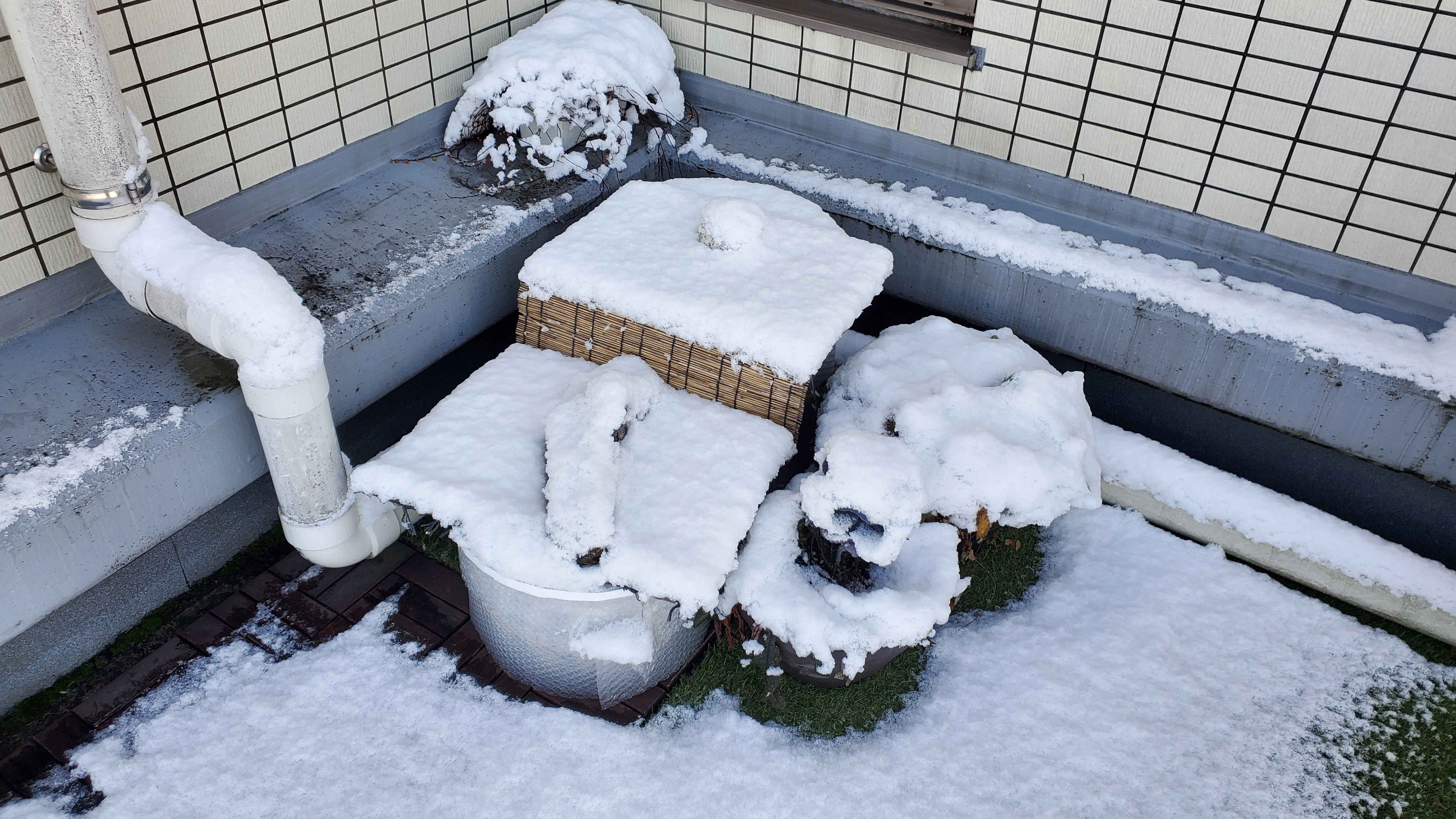 f:id:supernova75:20220107075629j:image f:id:supernova75:20220107075629j:image