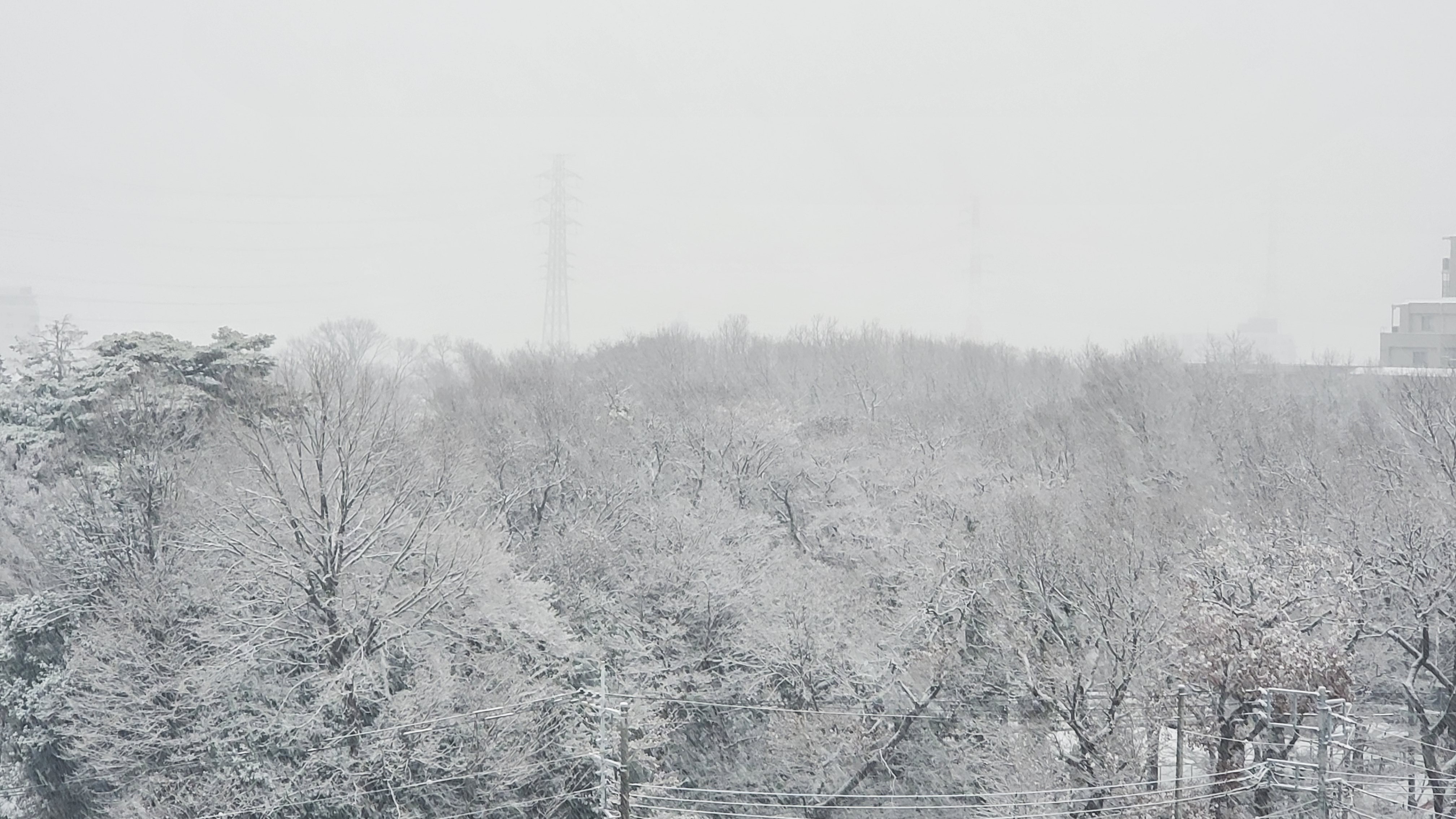 f:id:supernova75:20220107080817j:image f:id:supernova75:20220107080817j:image