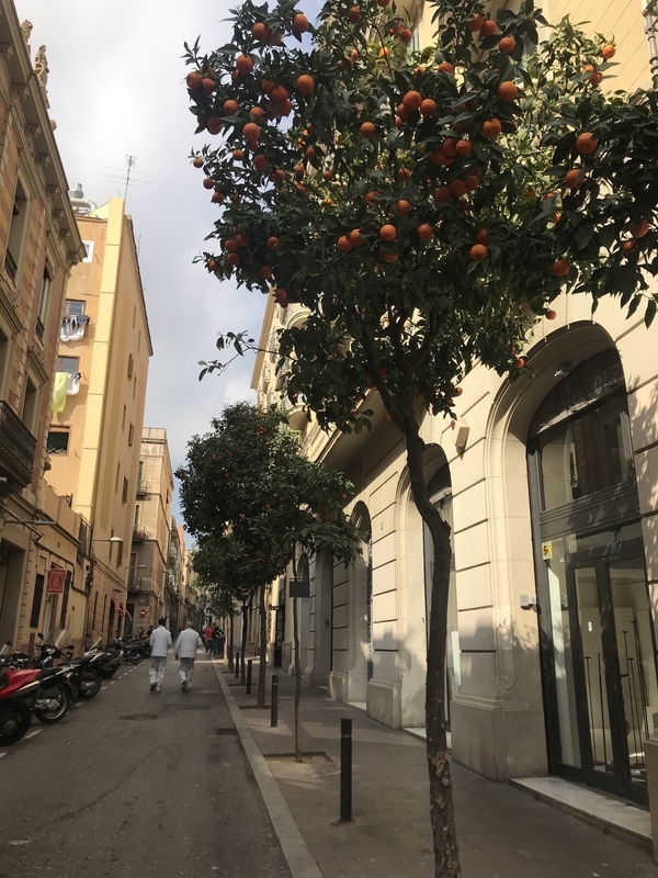 f:id:supernovafx:20190414024759j:plain