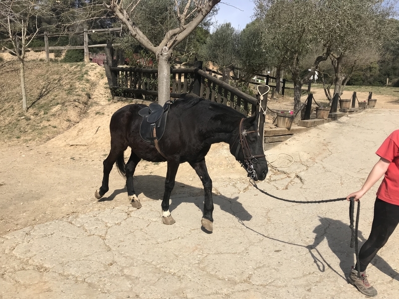 f:id:supernovafx:20190420055218j:plain