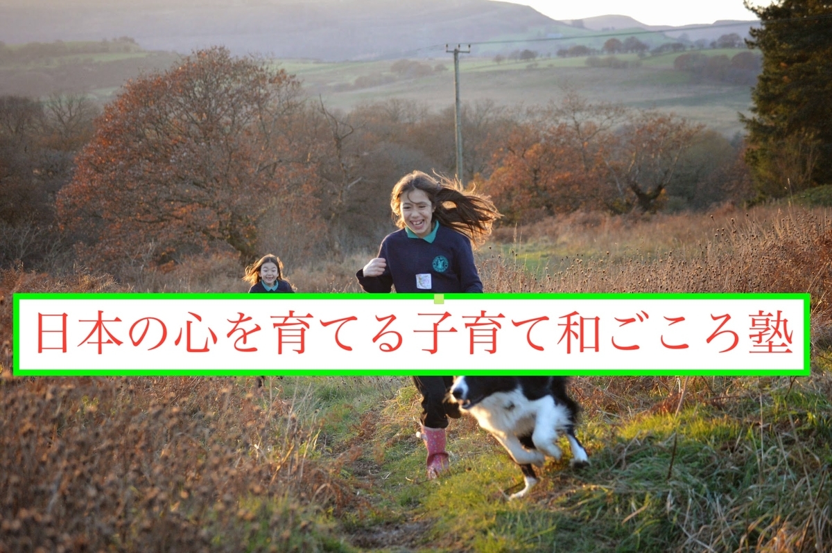 f:id:superokan:20190913155558j:plain f:id:superokan:20190913155558j:plain