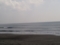 20110814千歳リーフ3