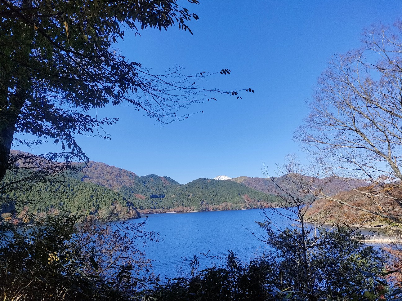 f:id:supimiko:20251119130639j:image f:id:supimiko:20251119130639j:image