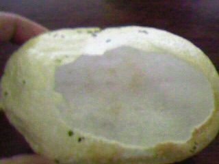 f:id:supiritasu:20090329151000j:image f:id:supiritasu:20090329151000j:image