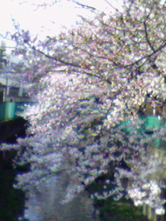f:id:supiritasu:20090403155700j:image