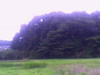 f:id:supiritasu:20090620175800j:image