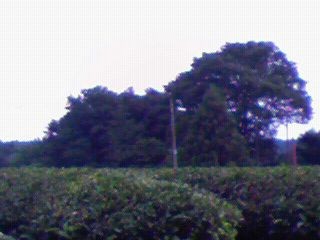 f:id:supiritasu:20090627163800j:image