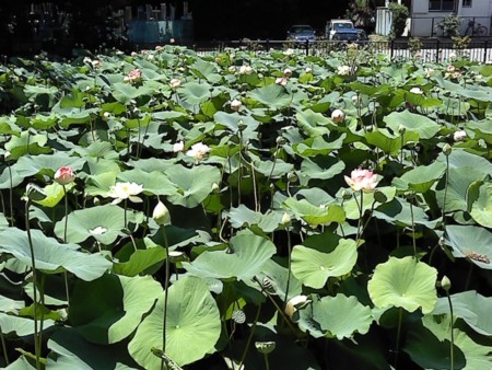 f:id:supiritasu:20100720085954j:image