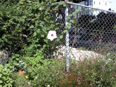 f:id:supiritasu:20120830195542j:image f:id:supiritasu:20120830195542j:image