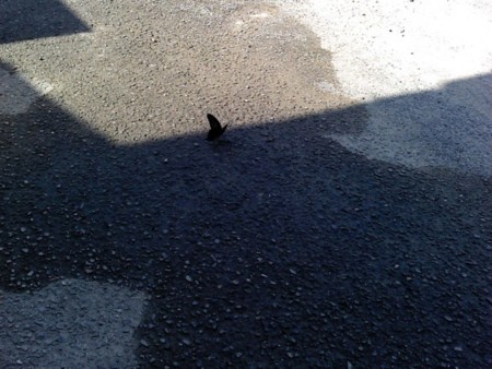 f:id:supiritasu:20120830195545j:image f:id:supiritasu:20120830195545j:image