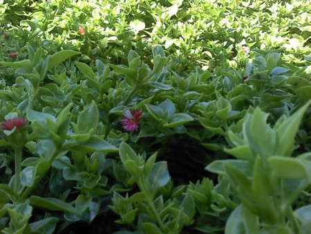 f:id:supiritasu:20120901235123j:image f:id:supiritasu:20120901235123j:image