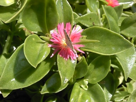 f:id:supiritasu:20120901235551j:image f:id:supiritasu:20120901235551j:image