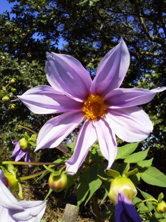 f:id:supiritasu:20131113235409j:image