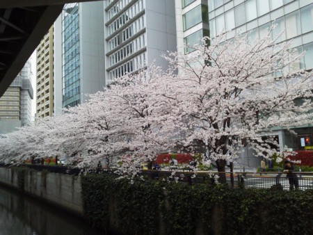 f:id:supiritasu:20160407230831j:image